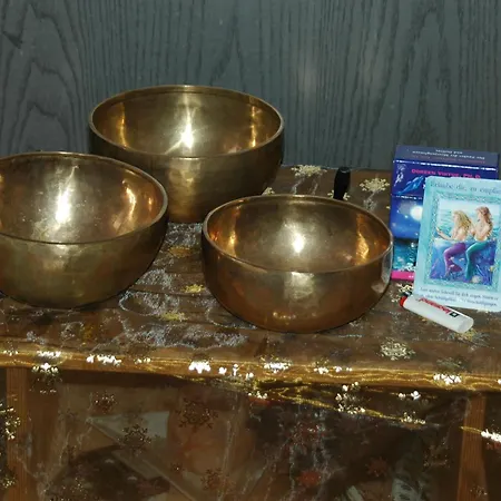 Daire Kunterbunt Seehaus *