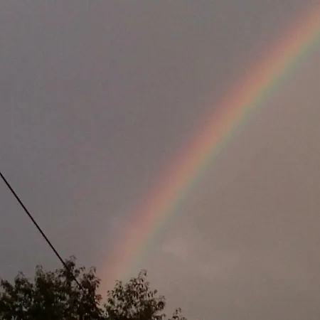 Daire Kunterbunt Seehaus *