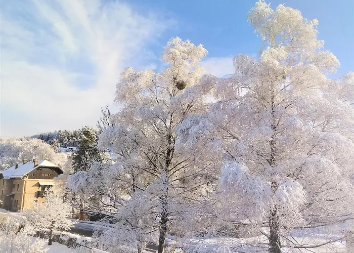 Apartamento Kunterbunt Seehaus *