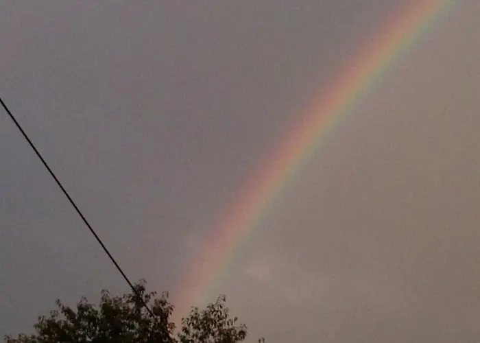 Apartment Kunterbunt Seehaus *